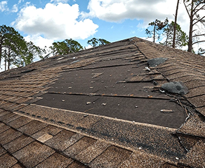 Storm Damage & Insurance Claims